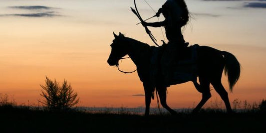 Die Wahrheit des Täuschens und Tarnens… - OSKARI